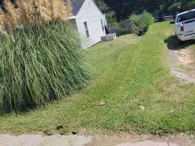 Lawn Care service in Kannapolis, 28083