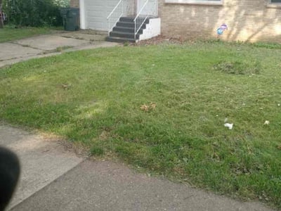 Lawn Care service in Lake Villa, 60046
