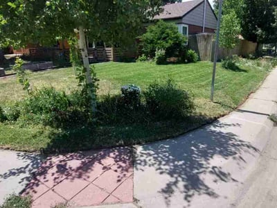 Lawn Care service in Baldwinsville, 13027