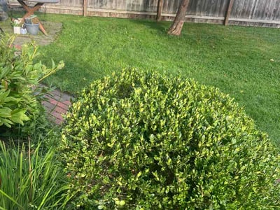 Lawn Care service in North Royalton, 44133
