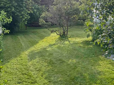 Lawn Care service in Country Club Hills, 60478
