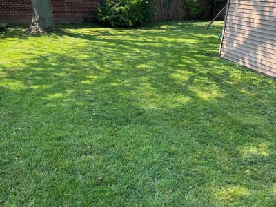 Lawn Care service in North Royalton, 44133
