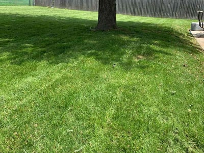 Lawn Care service in Medford, 08055