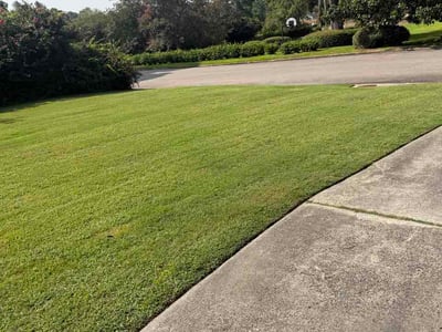 Lawn Care service in Augusta, 30904