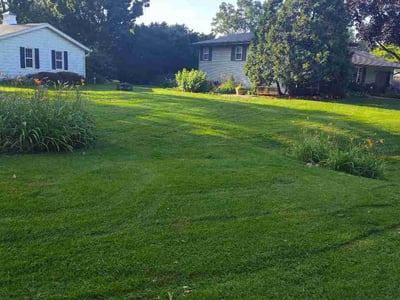 Lawn Care service in Glen Ellyn, 60137