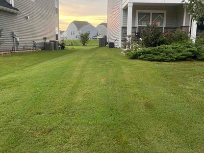 Lawn Care service in Laurens, 29360