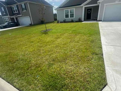 Lawn Care service in Loris, 29569