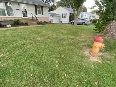 Lawn Care service in Sullivan, 63080