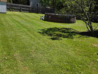 Lawn Care service in Irondeqoit, 14622