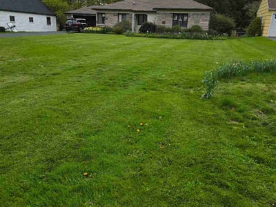 Lawn Care service in Pittsford, 14534