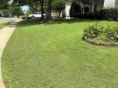 Lawn Care service in Waxhaw, 28173