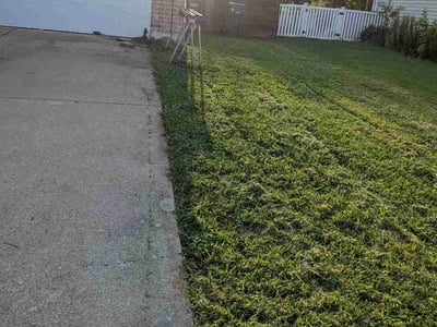Lawn Care service in Collinsville, 62234