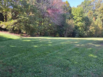 Lawn Care service in Denver, 28037