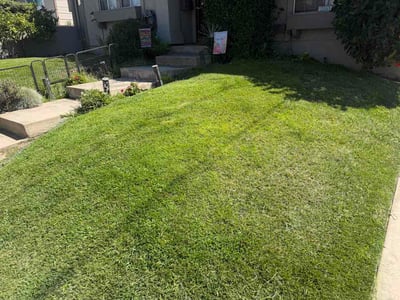 Lawn Care service in Arcadia, 91007