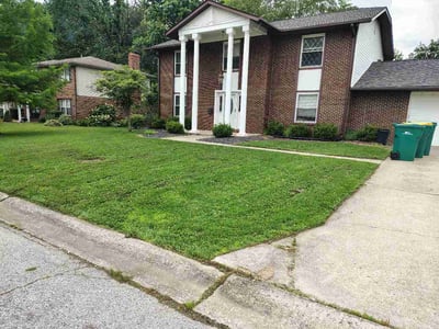 Lawn Care service in Collinsville, 62234