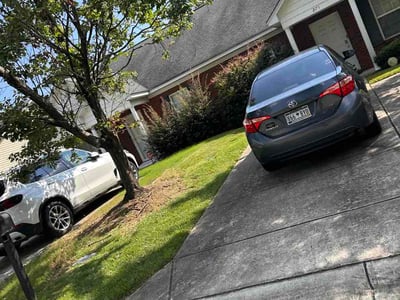 Lawn Care service in Longs, 29568