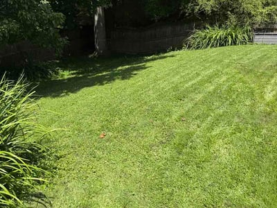 Lawn Care service in Owensboro, 42303