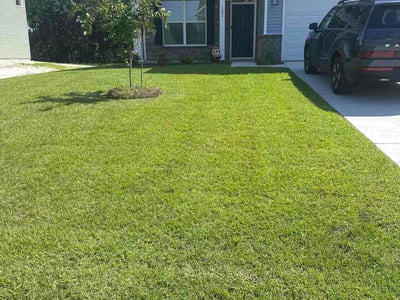 Lawn Care service in Longs, 29568