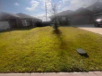 Lawn Care service in Buena Park, 90621
