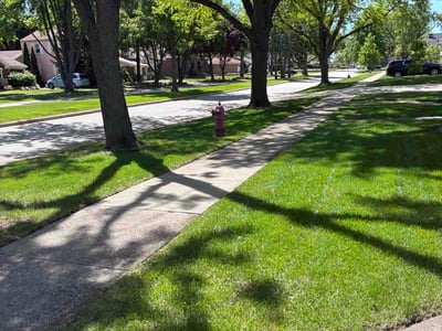 Lawn Care service in Westchester, 60154