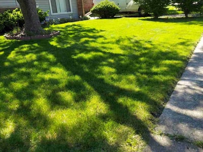 Lawn Care service in Park Forest, 60466