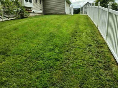 Lawn Care service in Fairport, 14450