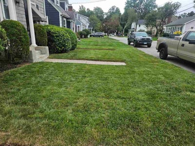 Lawn Care service in East Providence, 02914