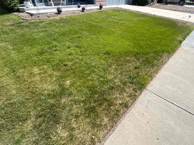 Lawn Care service in Westminster, 92683