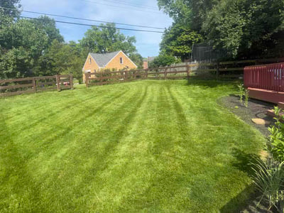 Lawn Care service in Burlington, 41005
