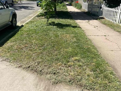 Lawn Care service in Tehachapi, 93561