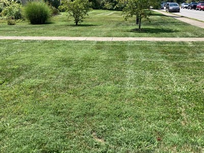 Lawn Care service in Shelbyville, 40065