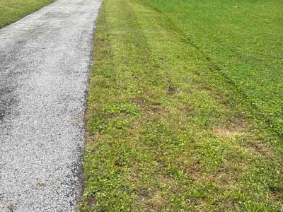 Lawn Care service in Riverton, 84065