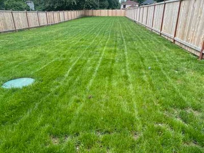 Lawn Care service in Monroe, 98272