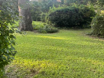 Lawn Care service in Candler, 28715