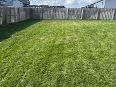 Lawn Care service in Idaho Falls, 83402