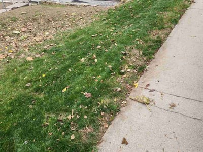 Lawn Care service in Wheaton, 60187