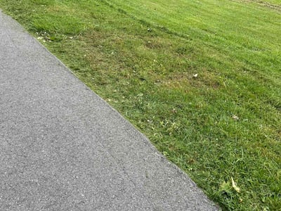 Lawn Care service in Hilton, 14468