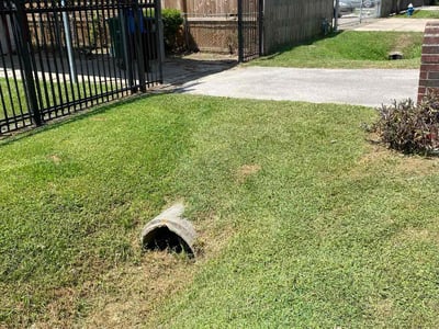 Lawn Care service in Downey, 90241