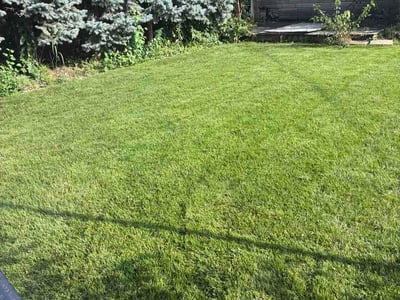 Lawn Care service in Calumet City, 60409