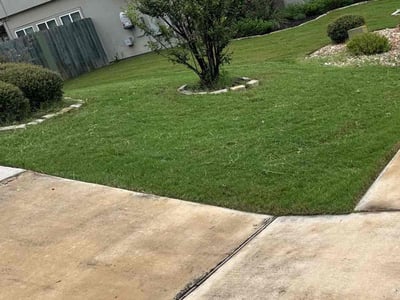 Lawn Care service in Dana Point, 92629