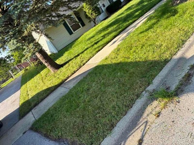 Lawn Care service in Lombard, 60148