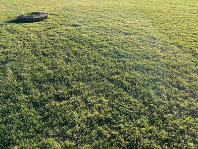 Lawn Care service in Cookeville, 38501