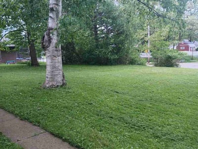 Lawn Care service in Lombard, 60148