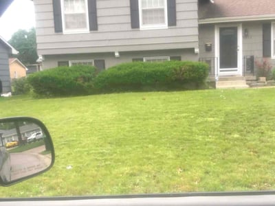 Lawn Care service in Canastota, 13032