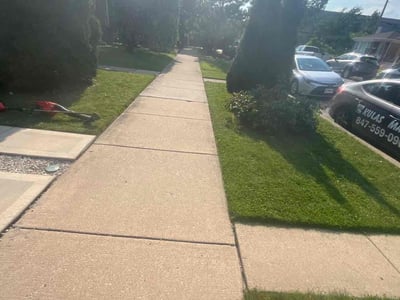 Lawn Care service in Dolton, 60419