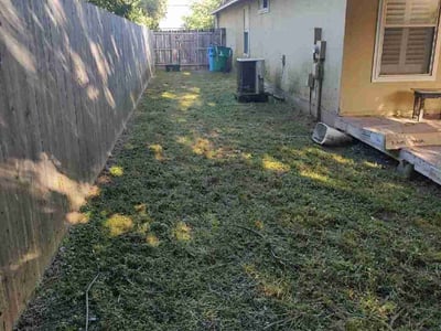 Lawn Care service in Coventry, 02816