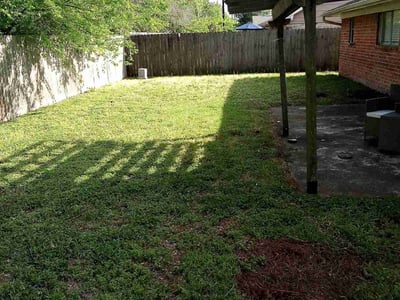 Lawn Care service in Coventry, 02816