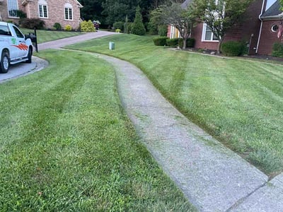 Lawn Care service in Middletown, 40243