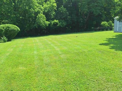 Lawn Care service in Camillus, 13031