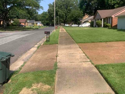 Lawn Care service in Green Valley, 85614